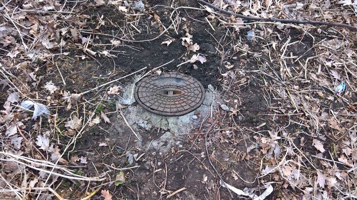 Pegelschacht in einem Waldstandort: bündig im Boden eingelassen, im Inneren läuft der Logger automatisiert weiter.