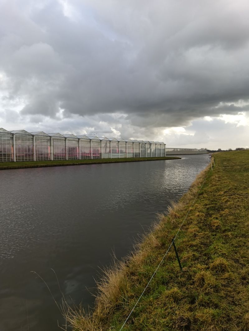 Wassergraben zwischen Gewächshäusern in Südholland unter bewölktem Himmel